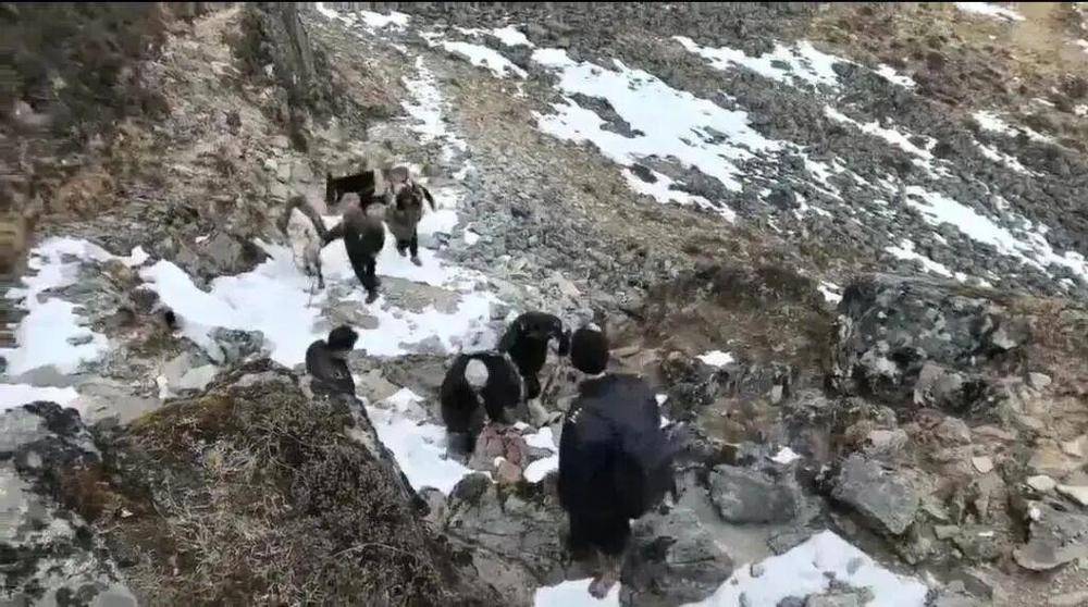 0元追缴272万 户外活动这些事项要注意新葡京网上赌场男子违规徒步失联被罚300(图2)